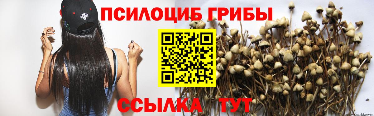 Сафоново  Псилоцибиновые грибы мицелий  Вход с VPN  дарнет шоп  Галлюциногенные грибы Cubensis 